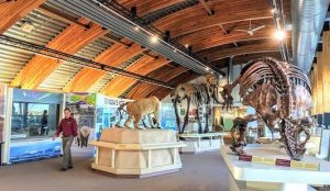 beringia