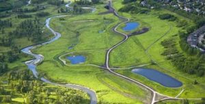 fish creek