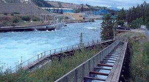 fishladder