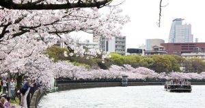 kema sakuranomiya