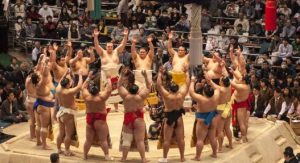 sumo spring