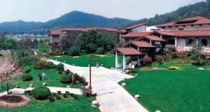 tea museum