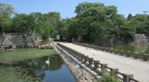 ujo park