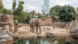 zoo
