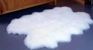 karpet