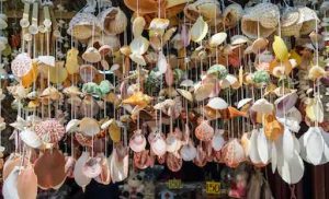 kerang