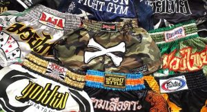 muay thai