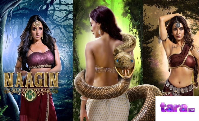NAAGIN