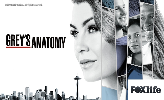 GREY'S ANATOMY