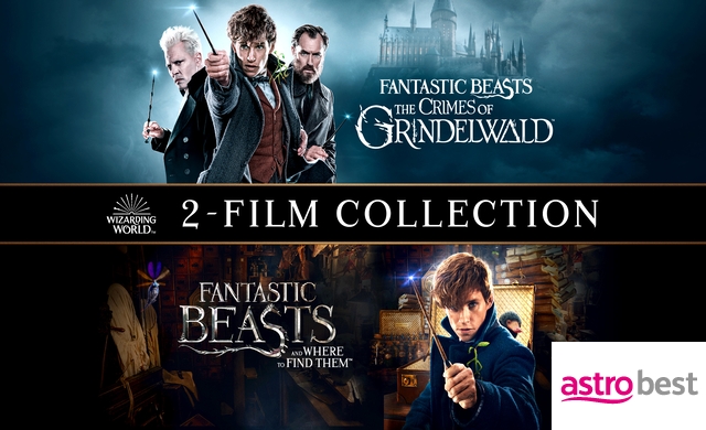 FANTASTIC BEASTS 2-MOVIE COLLECTION