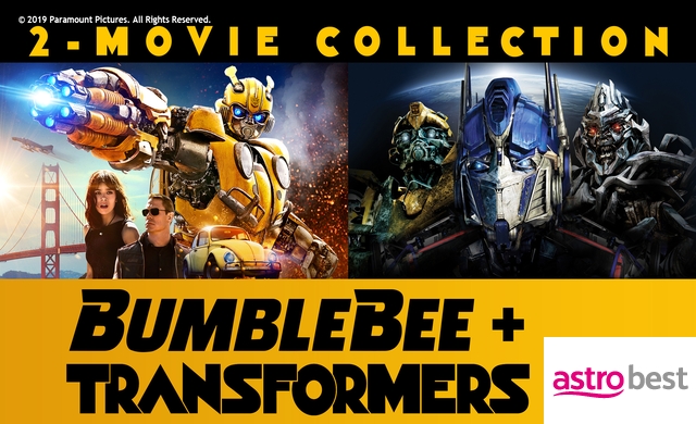 BUMBLEBEE AND TRANSFORMERS