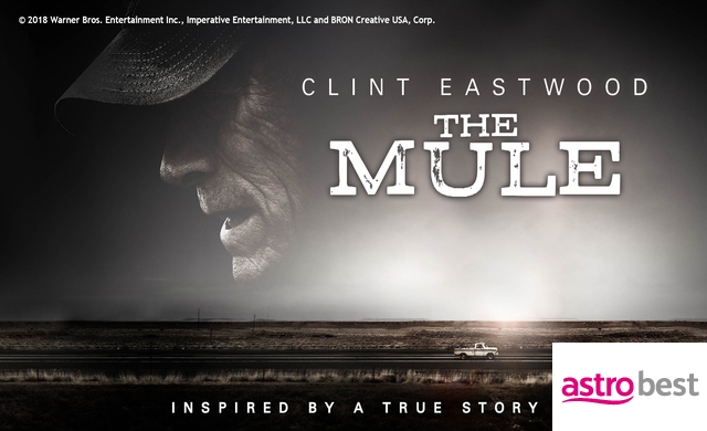 THE MULE