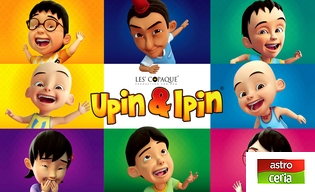 UPIN & IPIN