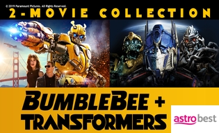 BUMBLEBEE AND TRANSFORMERS
