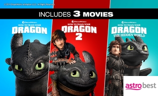 HOW TO TRAIN YOUR DRAGON 3-MOVIE BUNDLE