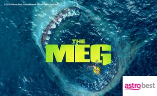 THE MEG