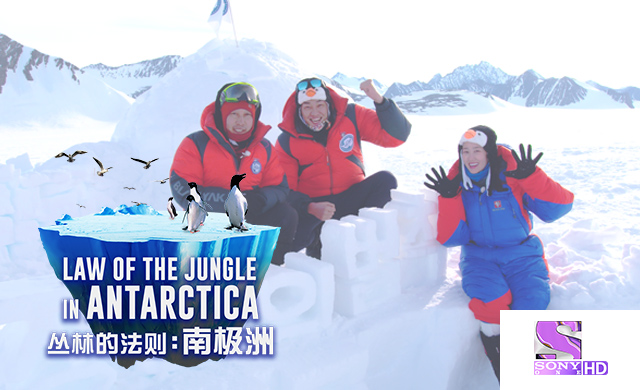 LAW OF THE JUNGLE IN ANTARCTICA
