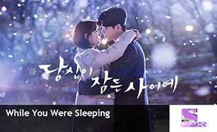 WHILE YOU WERE SLEEPING