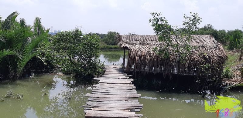 Hồ câu cá giải trí Phúc Lộc Thọ 2