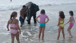 Mai Khao Beach, Phuket - Thailand