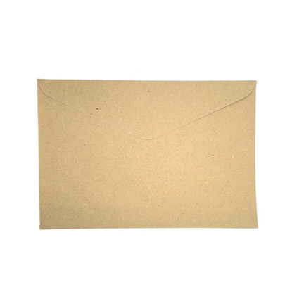 Brown Envelop Short 1pc