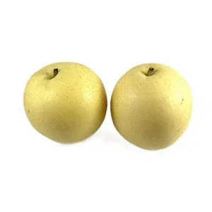 Fruits Pear 48 Century 2'