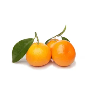Fruits.Ponkan 52 Murcott 2'