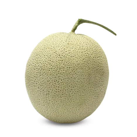 Fruits Melon