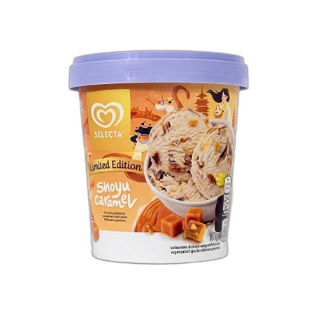 Ice Cream Shoyu Caramel 450ml