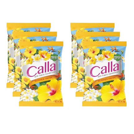 Detergent Powder with Fabric Conditioner Summer Fresh