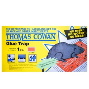 Glue Trap Yellow