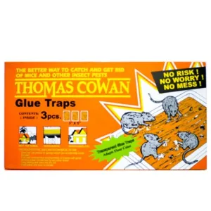 Glue Traps Orange