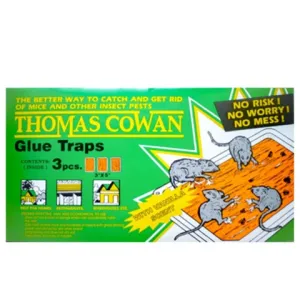 Glue Traps Green Vanilla Scent