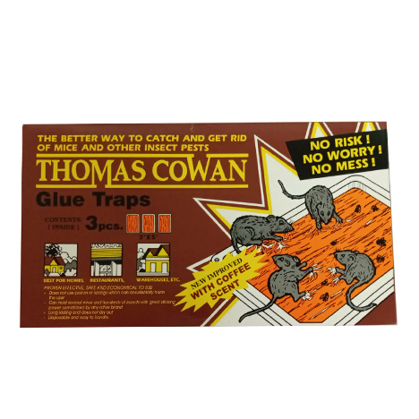 Glue Trap Brown Coffee Scent