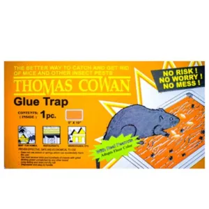 Glue Trap with Real Peanut