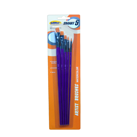 Smart Brush BCH-579-101