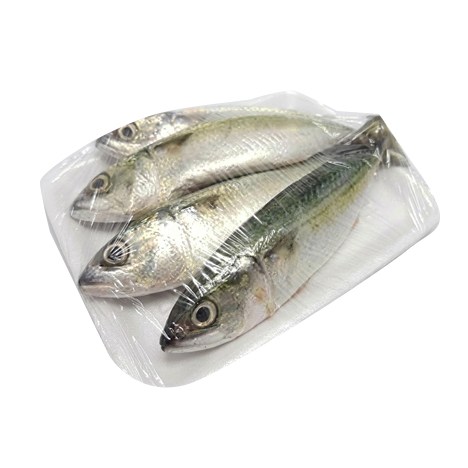 Fish Alumahan