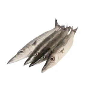 Fish Torcillo