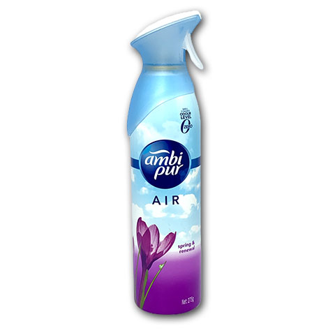 Air Spring & Renewal