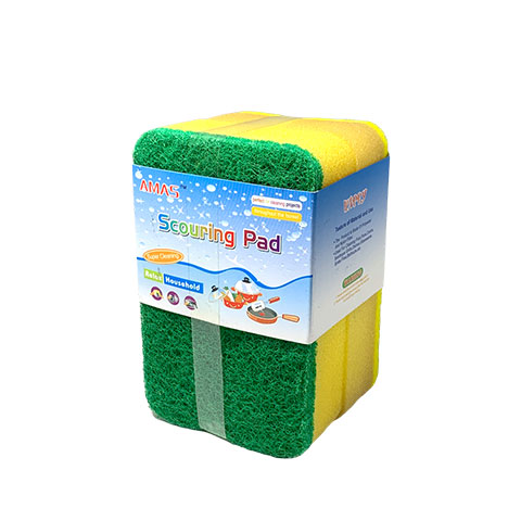 Dual Purpose Scouring Pad