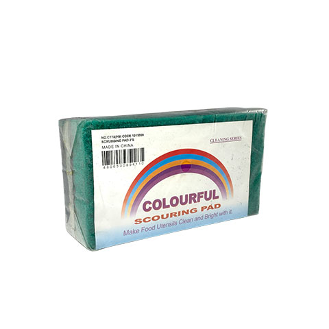 Scouring Pad