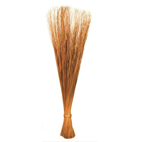 Walis Ting-Ting