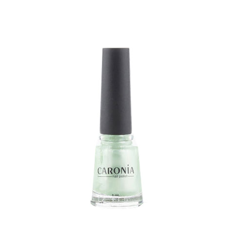 Nail Polish Frosted Platinum Special