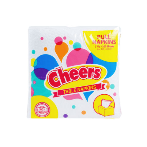Pull Napkins 2-Ply