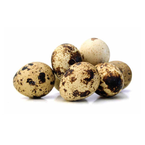 Quail Eggs