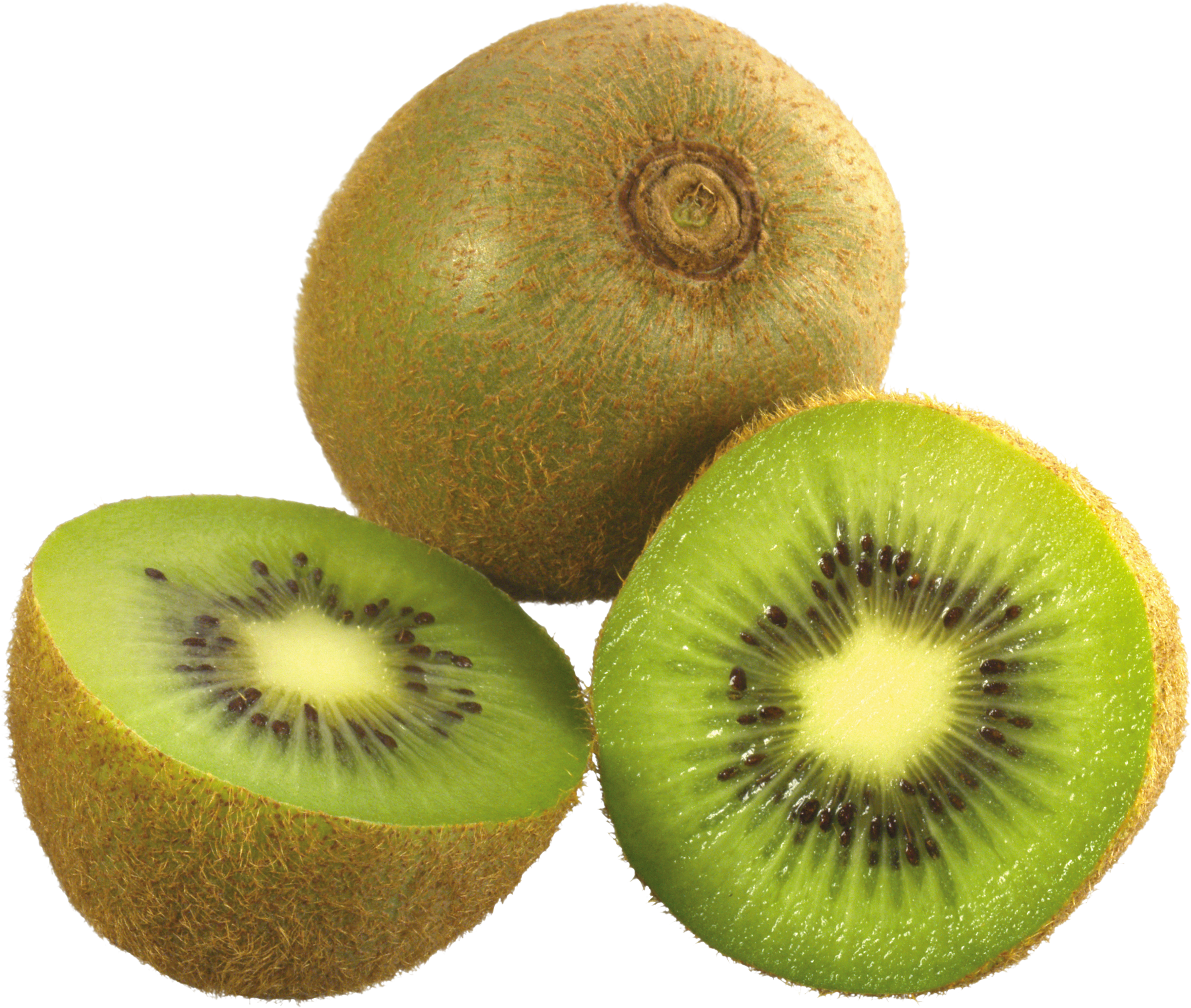 Fruits.Kiwi 36