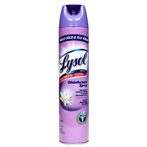 Disinfectant Spray Early Morning Breeze