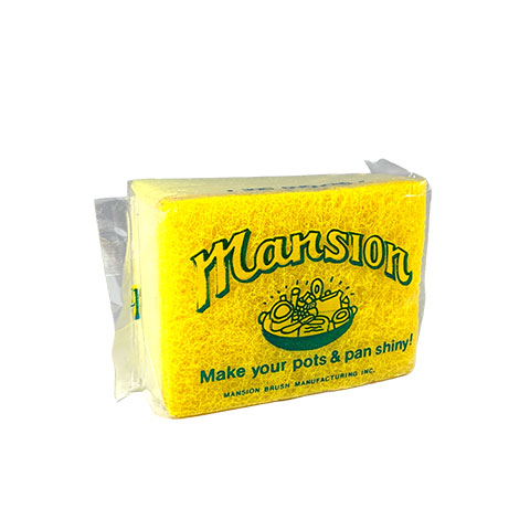 Dual Scrubbing Sponge