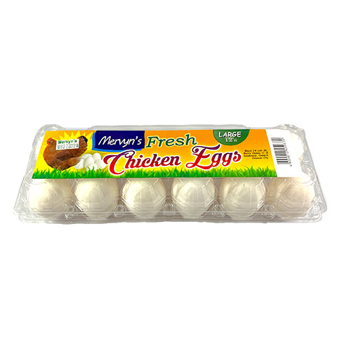 Fresh Chicken  White Eggs Large