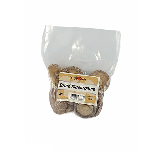 Dried Mushroom